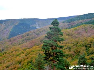 Yacimientos Atapuerca - Sierra de la Demanda; sitios para visitar en madrid sierra de grazalema hiki